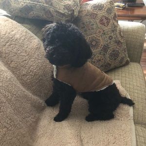 Meet your Posher, Jill